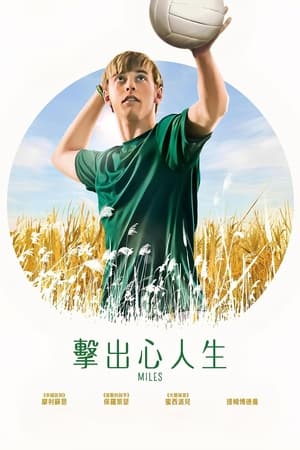 Poster 麦尔斯 2017