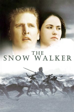 Poster Потерянный в снегах 2003