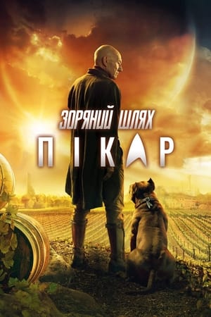 Poster Зоряний шлях: Пікар 2020