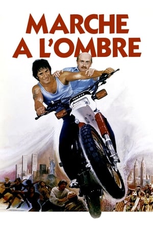 Marche à l'ombre 1984