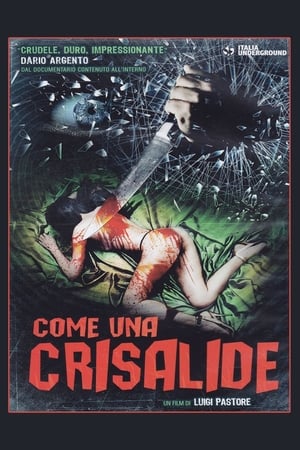 Poster Come una crisalide 2010