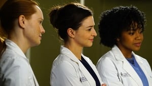 Grey’s Anatomy Season 12 Episode 17