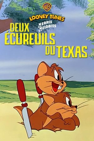 Télécharger Deux écureuils du Texas ou regarder en streaming Torrent magnet 