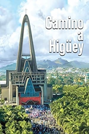 Poster Camino a Higüey 2016