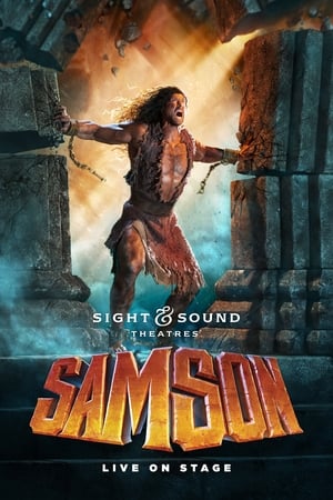 Samson 2017