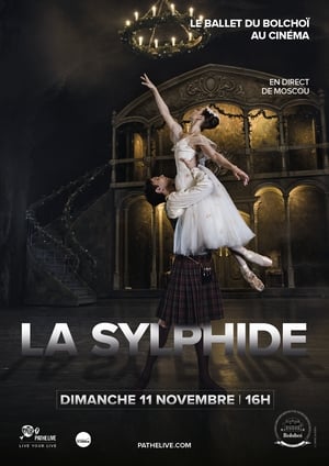 Télécharger La Sylphide : Ballet du Bolchoï ou regarder en streaming Torrent magnet 