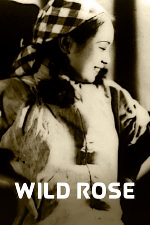 Poster Wild Rose 1932