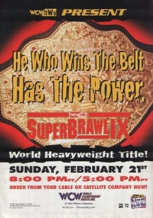 Télécharger WCW SuperBrawl IX ou regarder en streaming Torrent magnet 