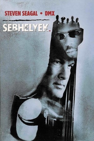 Poster Sebhelyek 2001