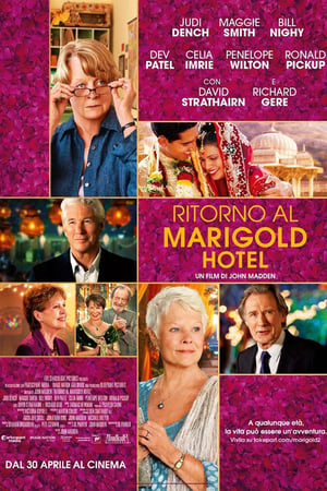 Ritorno al Marigold Hotel 2015