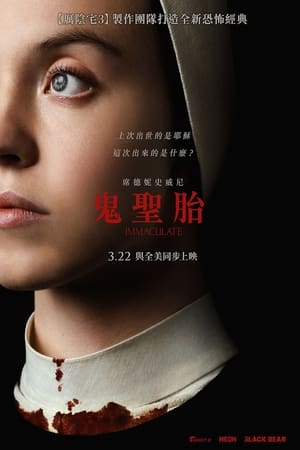 Poster 无瑕修女 2024