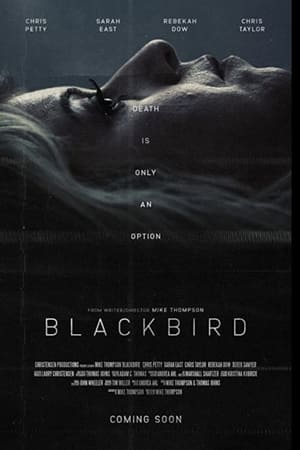 Blackbird 2020