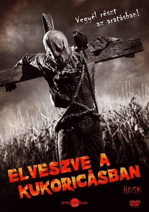 Poster Husk: Elveszve a kukoricásban 2011