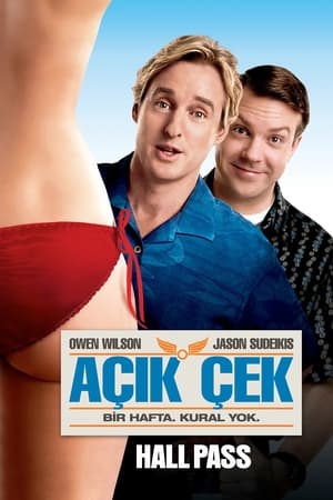 Poster Açık Çek 2011