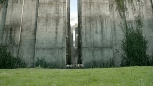 مشاهدة فيلم The Maze Runner 2014 مترجم