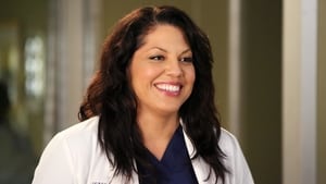 Grey’s Anatomy Season 11 Episode 8