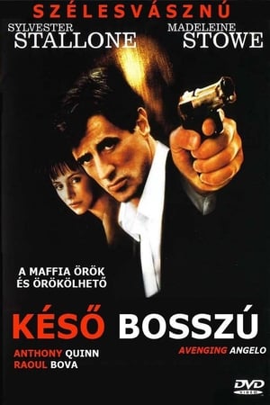 Image Késő bosszú