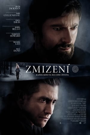 Poster Zmizení 2013