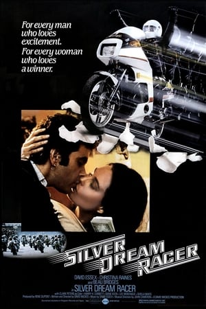 Poster Silver Dream Racer 1980