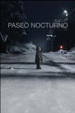 Poster Paseo nocturno 2020