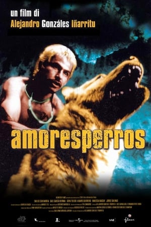 Poster Amores perros 2000