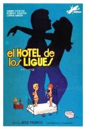 Image The Hotel of Love Affairs