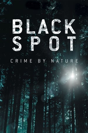 Poster Black Spot 2017