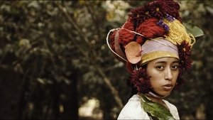 LA LLORONA DE LOS CAFETALES
