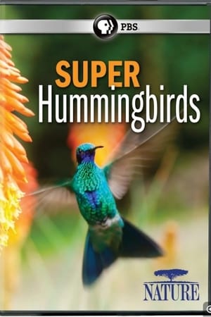 Poster Super Hummingbirds 2016