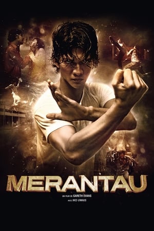 Poster Merantau 2009