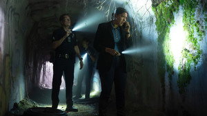 The Rookie Season 8 :Episode 14  Tiger Bear