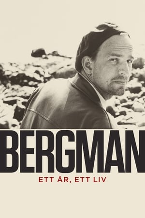 Bergman - Et År, Et Liv 2018