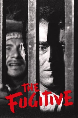 Image The Fugitive