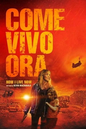 Image Come vivo ora