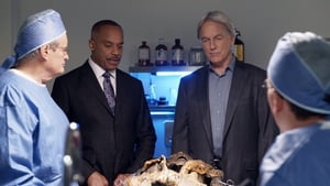 NCIS Season 15 :Episode 8  Voices