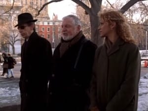 Law & Order: Special Victims Unit Season 1 :Episode 17  Misleader