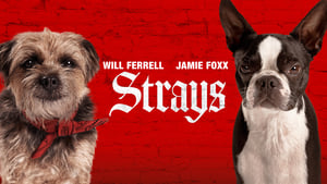 Capture of Strays (2023) FHD Монгол хадмал