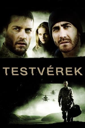 Poster Testvérek 2009