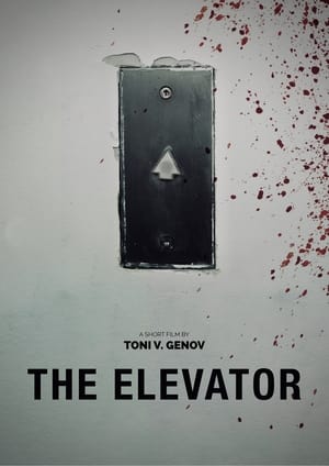 Image The Elevator