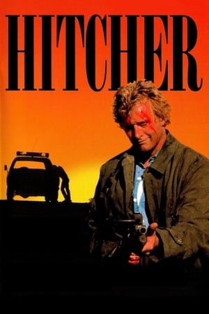 Image Hitcher