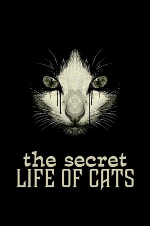 Image The Secret Life of Cats