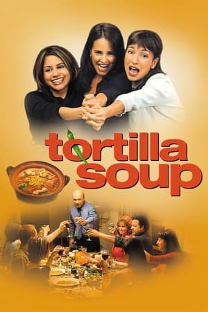 Image Tortilla Soup – Die Würze des Lebens