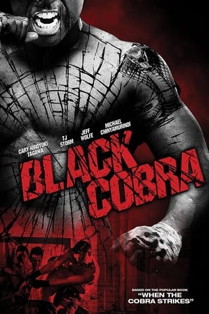 Poster When the Cobra Strikes 2012