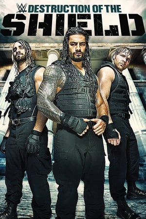 Poster The Destruction of The Shield 2015