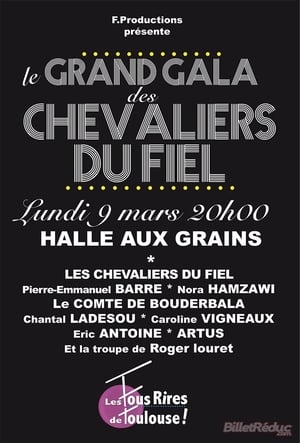 Télécharger Le grand gala des Chevaliers du Fiel ou regarder en streaming Torrent magnet 