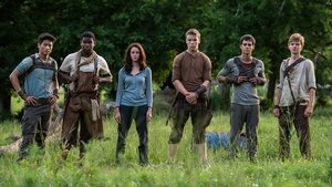 Images posters