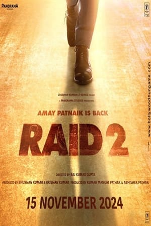 Poster Raid 2 2024