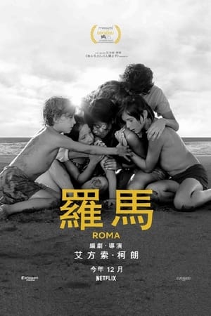 Poster 罗马 2018