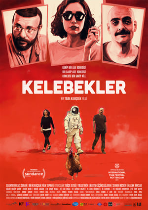 Image Kelebekler