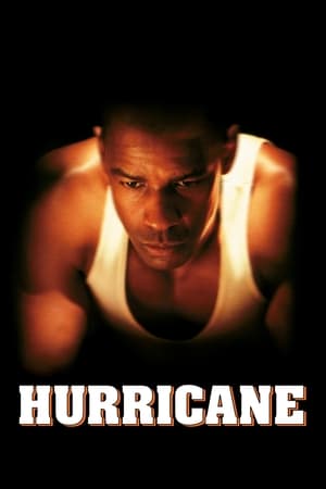 Poster Hurricane 1999